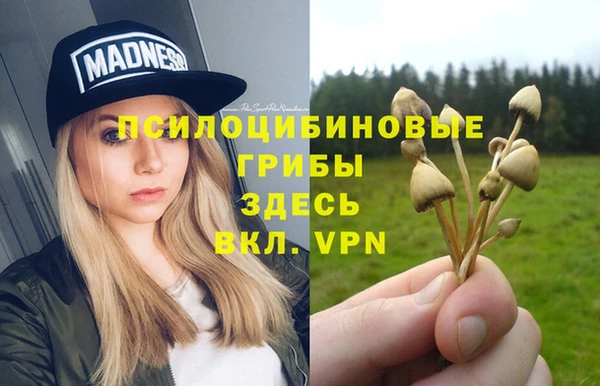 бутират Медвежьегорск