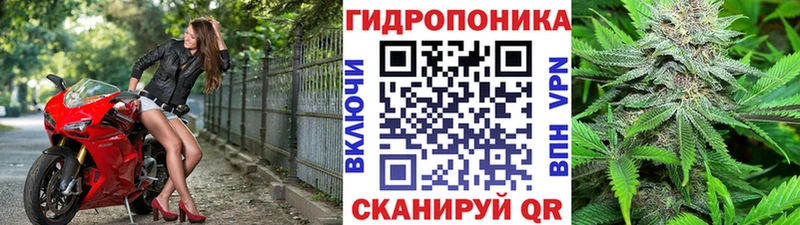 как найти закладки  Далматово  Каннабис VHQ 